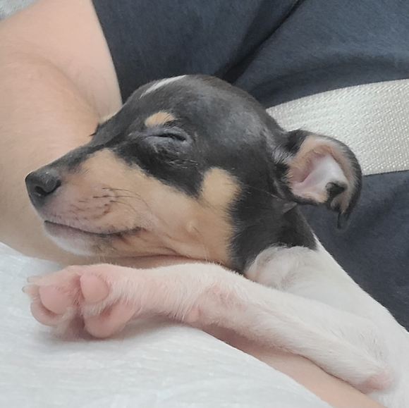 Meet your Posher, Tiff - Picture 16 of 16